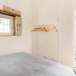 Ciauru D'amuri * 锡拉库扎